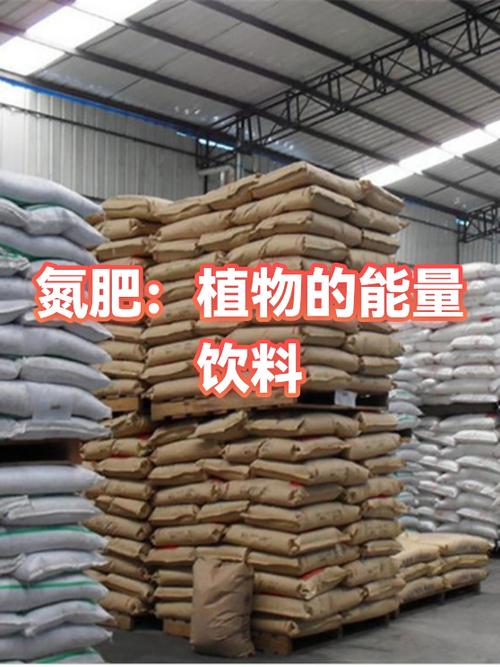 氮肥 植物的能量饮料？——揭开“植物饮料”背后的科学真相